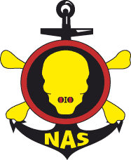 nas-skull_logo